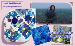 95 Pcs Blue Pred Dried Flowers for Resin, Real Natural Bulk Dry