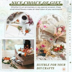 24 Pcs Boho Dried Flower Bouquet Mini Wedding Handmade Dry Flowers