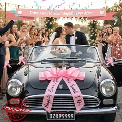 Just Married Wedding Car Decorations Kit Pink Car Bow Ribbon