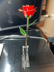 24k Red Gold Plated Rose – with Transparent Stand