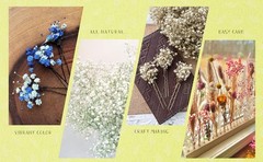 120 Pcs Mini Dried Baby Breath Flowers Gypsophila Ivory Flowers Dried