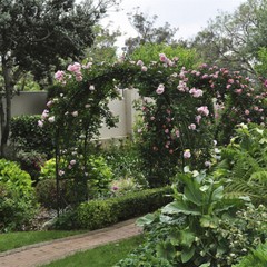 Heavy Duty Metal Garden Arch Rose Archway Pergola Arbour Climbing Plants Trellis