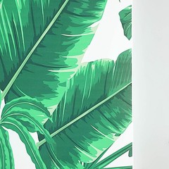 8 ft Tropical Leaves Printed Vinyl Photo Backdrop Party Banner Events Supplies