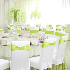 MDS-MEGADECORSUPPLY Chair Sash, 25 pcs Apple Green, Spandex Chair Cover Band …