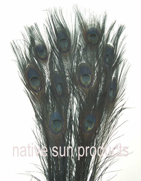 10 Peacock Feathers w/ Eyes 30-35″ L Bleached & dyed Your choice of 21 colors