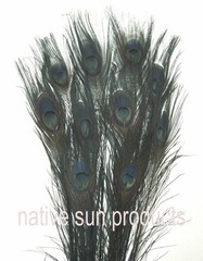 25 Peacock Feathers w/ Eyes 30-35″ L Bleached & dyed Your choice of 21 colors