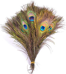 1Pc Green New Peacock Feather Tail Family Room Wedding Living Room Party Give Gi