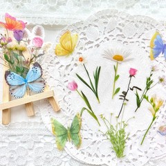 Butterfly Floral Stiers Bulk – 320 Pcs Transparent Realistic