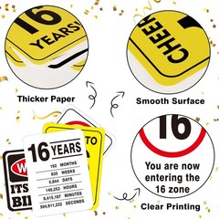 WERNNSAI 16th Birthday Party Decorations – 9PCS Wall Signs Funny Tags for Tee…