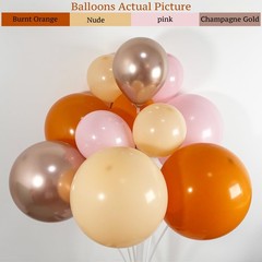 145PCS Fall Pink Balloon Arch Kit – Boho Baby Shower Decorations for Girl,