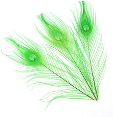 10-12Inch Dyeing Peacock Feathers Bleached Plume Wedding Table Centerpiece Pack