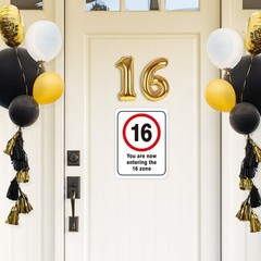 WERNNSAI 16th Birthday Party Decorations – 9PCS Wall Signs Funny Tags for Tee…