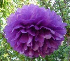 6x 30cm purple tissue paper pom poms wedding party birthday hanging decoration