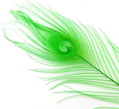 10-12Inch Dyeing Peacock Feathers Bleached Plume Wedding Table Centerpiece Pack