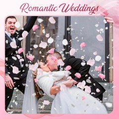 300 PCS Real Pink White Rose Flower Petals Confetti for Wedding Flower