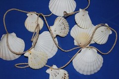 Seashell Wedding Gazebo Archway Garland Large Long Size, 68″ +, G-89