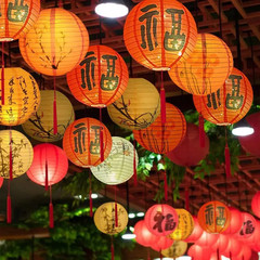 12Inch Printed Flower round Chinese Paper Lanterns Birthday Wedding Decor Craft