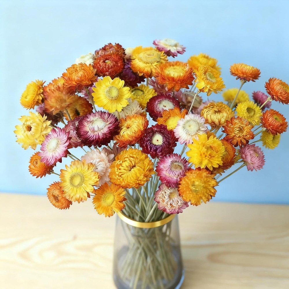 20 PCS Natural Dried Daisy Flowers Bouquet – Multicolor Dried Daisy