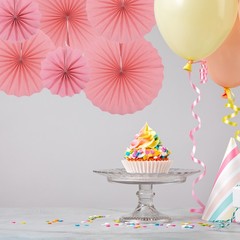 Hanging Paper Fans Party Set 6Pcs Decoration for Home Birthday Wedding(Pink)