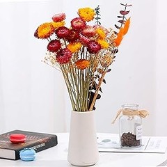 Dried Flowers Bouquet Natural Daisy – 40 PCS Multicolor Daisies Dried