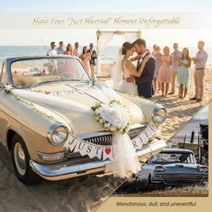 Just Married Car Decorations Set – White Wedding Car Ribbon & Flower Kit with