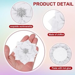 5×7 rhinestone gems and chiffon flower frame