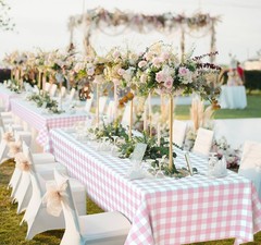2 Pcs Pink Gingham Tablecloth, Disposable Plastic Pink Checkered Table Cloth,