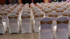 DH Wedding Banquet Party Chair Sash Bands & Buckle Slider in Colors 10PCS