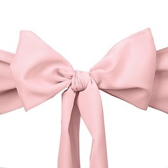 10 Blush Polyester CHAIR SASHES Ties Bows Wedding Party Ceremony Decorations