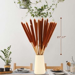 Natural Dried Cattail Flowers, 20 PCS Assorted Cattails for DIY Rustic