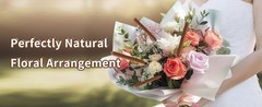 Natural Dried Cattail Flowers, 20 PCS Assorted Cattails for DIY Rustic