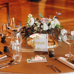 Acrylic Wedding Signs, Bridal Shower Decorations, Mimosa Bar Signs for Reception