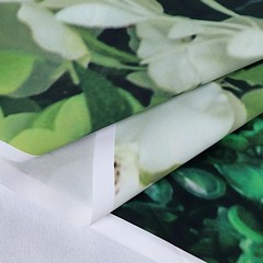 GREEN 8 ft x 8 ft Printed Vinyl Greenery Vines PHOTO BACKDROP Party Decorations