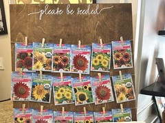 Etsy Rustic Wood Wedding Board “Please Be Seeded” Guest Seating Chart,20″ x 30″