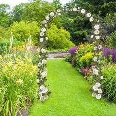 240x140cm Dark Green Garden Arch Metal Wedding Trellis Plant Support