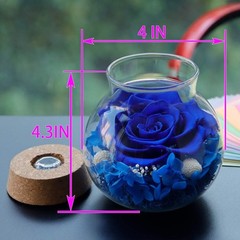 Preserved Real Roses with Colorful Mood Light Wishing Bottle, Eternal Roseᦁ