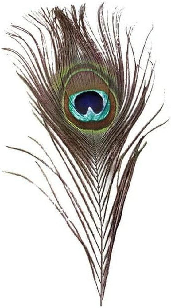 1Pc Green New Peacock Feather Tail Family Room Wedding Living Room Party Give Gi