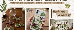 110+ Pcs Dried Flowers Leaves for Crafts, Real Pred Flowers Dry Leaves