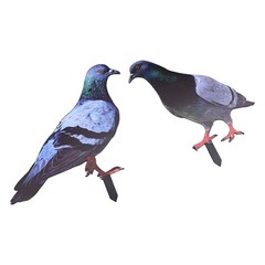 Note Outdoor Space Package Content Outdoor Package Content Garden Pigeon