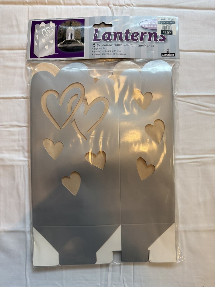Paper Lantern Bags, Outdoor Wedding Decor, Bridal Party, Anniversary, 6 Pack