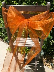 Lot of 10 Organza Sheer Chair Sashes/Runners/Ribbons/Bows for Party Brand New