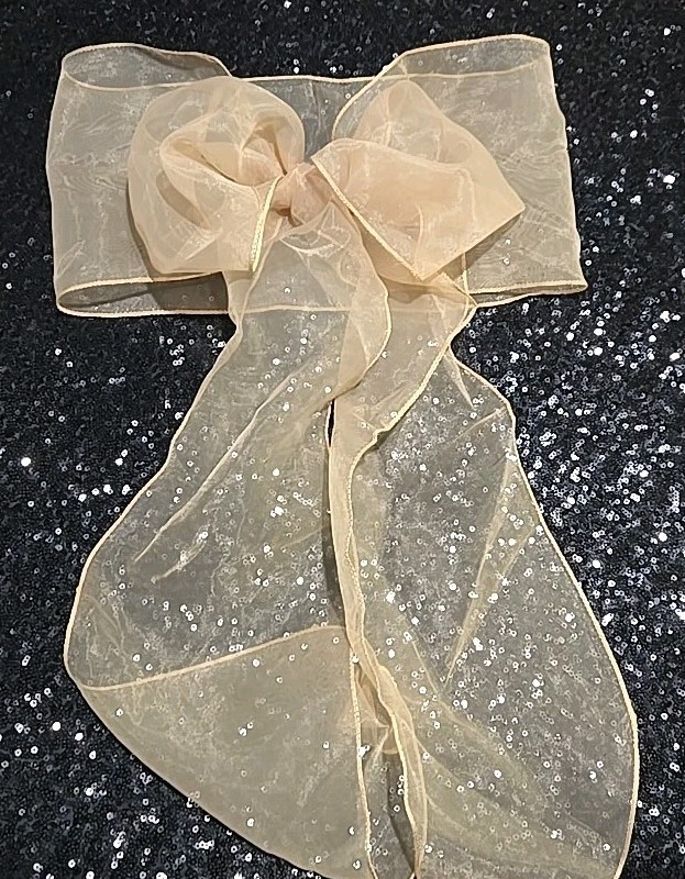 20 pcs Sheer Chair Decor Bow Sash 104″ x 6″ Champagne Wedding Party Organza