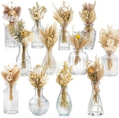 24 Pcs Boho Dried Flower Bouquet with Glass Vase Set 12 Mini