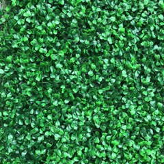 12× Outdoor Artificial Boxwood Hedge Mat Plant Panels Greenery Walls Encrytion