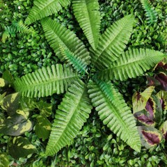 9 Pcs Artificial Boxwood Hedge Panels 60 × 40 × 4 cm Green