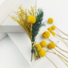 Toot 30Pcs Natural Craspedia Dried Flowers Yellow Billy Buttons Balls