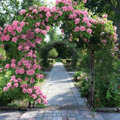 Heavy Wedding Arch Metal Outdoor Garden Arbor Trellis Lattice Climbing Plants US