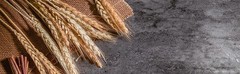200 Stems Dried Wheat Stalks Natural Wheat Bundle for Home Decor, Crafts