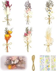 6Pcs Mini Dried Flowers Bouquet, Mixed Natural Dried Flowers Gypsophila