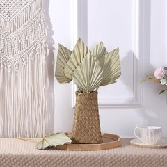 6 Pcs Small Boho Dried Palm Fans,Natural Dried Palm Spears Leaves with